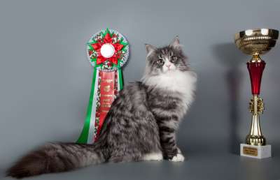 �������� ����� '������� ���-�����' 30 ������-1 ������� 2013� 60_best2_junior_opp_sex_IMG_3932 copy.jpg